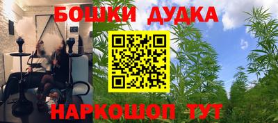 apvp Нальчик