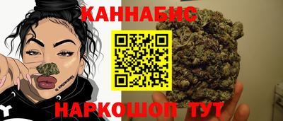 apvp Нальчик